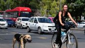 Foto ilustrativa de la nota titulada Tips para que los automovilistas sean amigables con los ciclistas