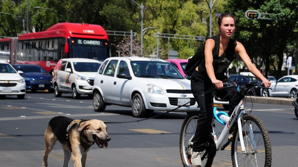 Así pueden ser amigables con los ciclistas