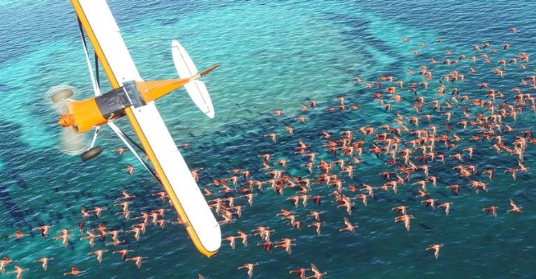 Microsoft Flight Simulator