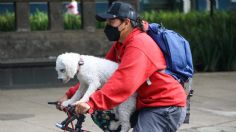 El Paseo Dominical Muévete en Bici cambia su ruta por el desfile de la Revolución Mexicana