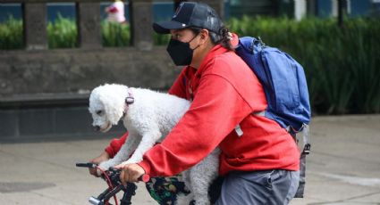 El Paseo Dominical Muévete en Bici cambia su ruta por el desfile de la Revolución Mexicana