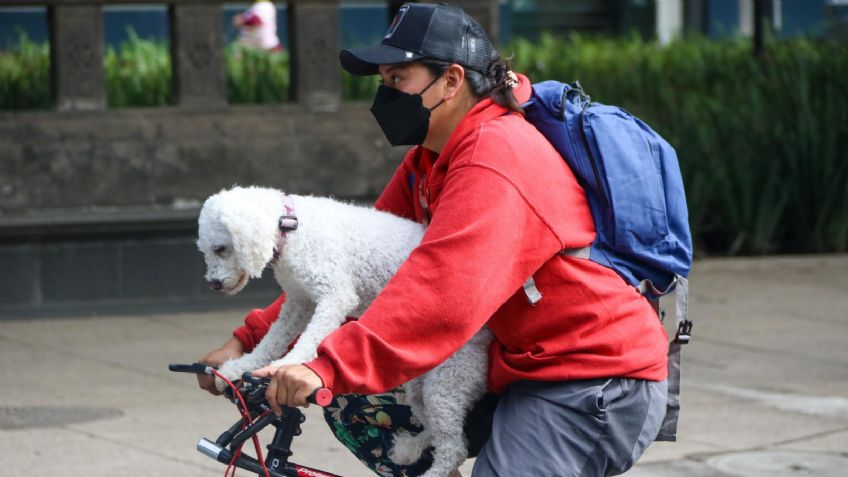 El Paseo Dominical Muévete en Bici cambia su ruta por el desfile de la Revolución Mexicana