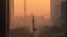 Claves para entender la contingencia ambiental