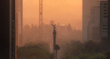 Claves para entender la contingencia ambiental