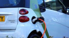¿Qué estados en México compran más autos eléctricos?