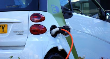 ¿Qué estados en México compran más autos eléctricos?