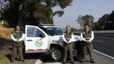 Ellos son los Ángeles Verdes, guardianes de las carreteras en México