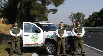 Ellos son los Ángeles Verdes, guardianes de las carreteras en México