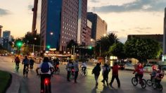 Qué dice la Ley de Movilidad y Seguridad Vial