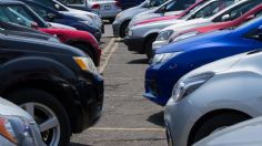 En Argentina, vecinos amarran autos a los árboles para evitar robos