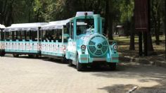 Te contamos todos los detalles sobre el regreso del Trenecito de Chapultepec
