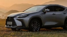 Precios de la Lexus NX 2022 en México: una SUV exclusiva y estilizada