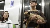 ¿Se puede llevar a un perro en el Metro?