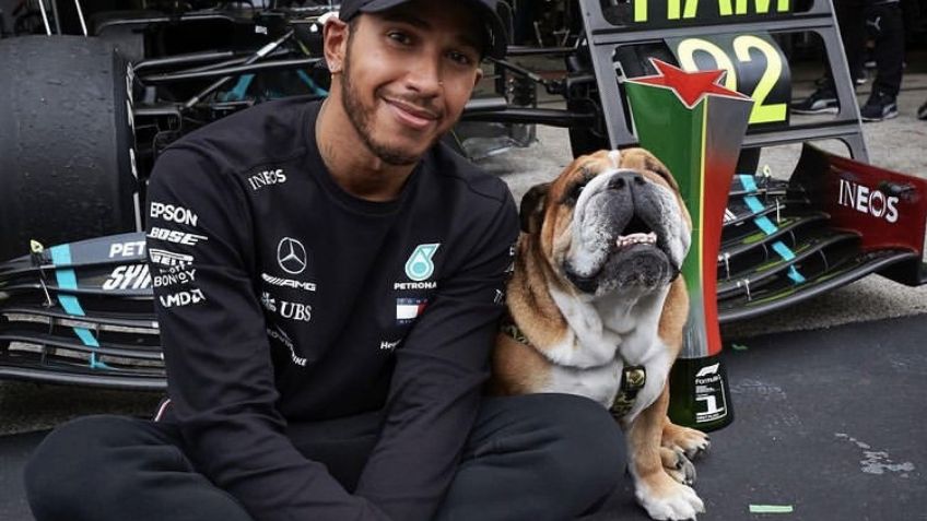 Lewis Hamilton aprovecha su tiempo libre y le enseña a patinar a su perro