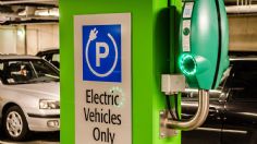 ¡Es oficial! Alemania dejará de incentivar la compra de autos eléctricos