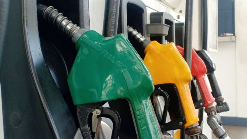 Magna vs. Premium: qué gasolina es mejor y cuál poner a tu auto