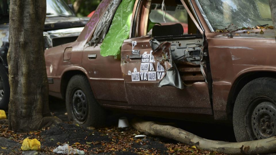 Un auto abandonado acarrea serios problemas de salud pública.