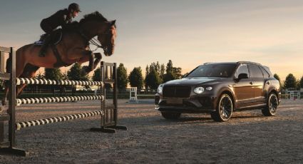 Bentley Bentayga Equestrian Collection: solo para 10 clientes de Bélgica