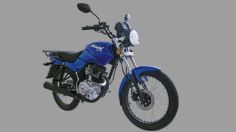 ¿Cuál es la moto más barata de Dinamo?