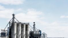 Crisis del petróleo en el mundo: Racionan combustible en Sri Lanka