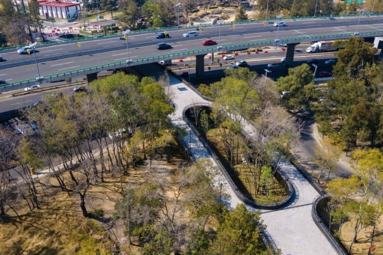 Calzada Flotante del Bosque de Chapultepec, Bosque de Chapultepec, Paseo Dominical Muevete en Bici, Paseo Dominical, Movilidad, Movilidad alternativa, Ciclismo urbano, Diversión, Deporte