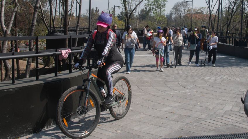 Cómo llegar a la Calzada Flotante del Bosque de Chapultepec en el Paseo Dominical Muévete en Bici
