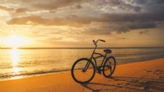 Conoce San Diego, California con estos tours en bicicleta que te harán sentir la naturaleza