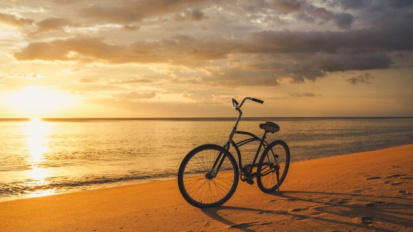 Conoce San Diego, California con estos tours en bicicleta que te harán sentir la naturaleza