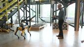 ¡Este perro-robot con inteligencia artificial habla e interactúa! Así es la creación de Boston Dynamics