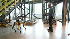 ¡Este perro-robot con inteligencia artificial habla e interactúa! Así es la creación de Boston Dynamics