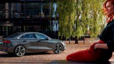 Sedanes: ¿Cómo son los diferentes tipos que existen y cuáles son sus características?