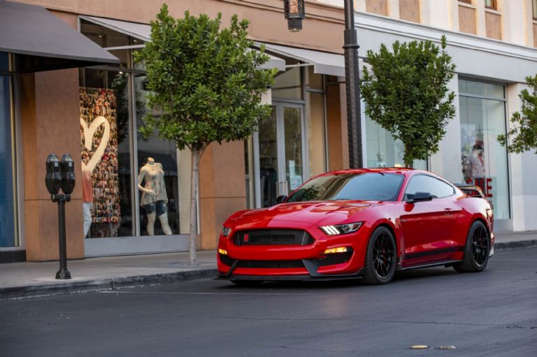 Shelby Este es el origen del nombre