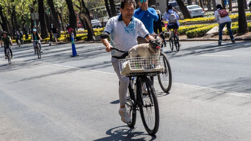 ¿Qué pasa si dejo mi bicicleta bajo el sol por mucho tiempo? Esto le podría ocurrir a sus componentes
