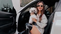 Tammy Parra: Cuando su novio le pintó con aerosol su BMW