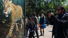 Calidad del aire 17 de marzo 2023 en la CDMX y su zona conurbada