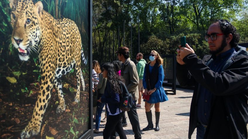 Calidad del aire 17 de marzo 2023 en la CDMX y su zona conurbada