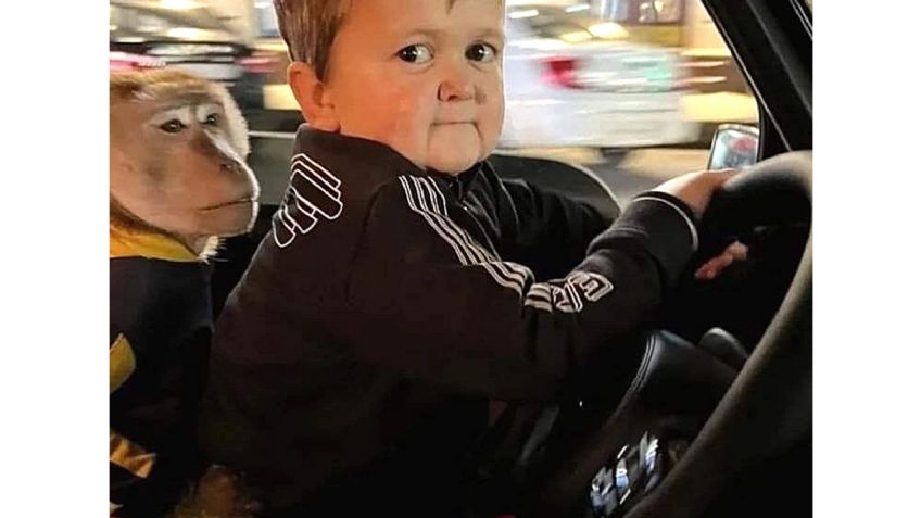 ¿Qué autos tiene Hasbulla, la celebridad de internet?