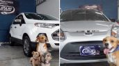 Agencia promociona sus autos con perritos rescatados y se vuelve viral en redes