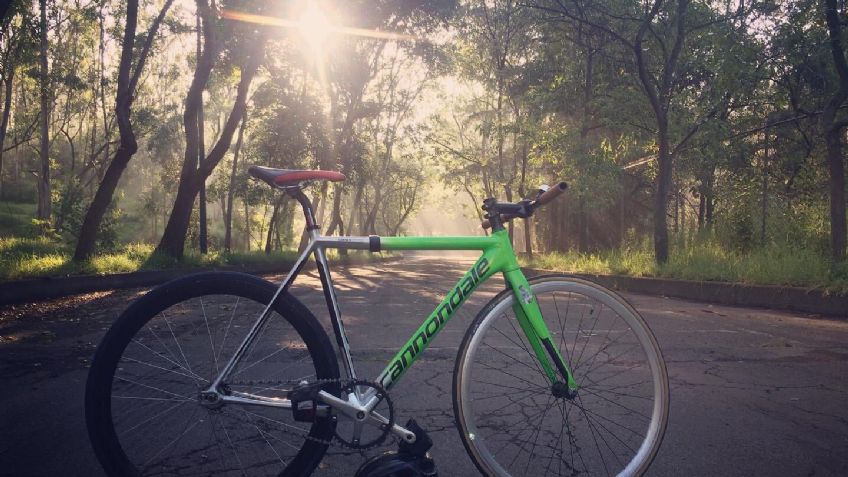 ¿Qué hacer en Chapultepec en bicicleta?