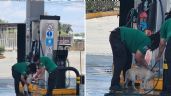 VIRAL: Empleadas de gasolinera son captadas bañando a un perrito callejero