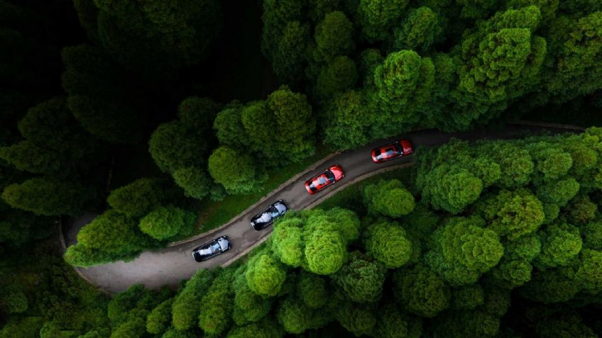 Los autos eléctricos de BYD ya tiene más éxito que Volkswagen en China