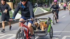 ¿Qué hacer durante el puente cerca de CDMX?