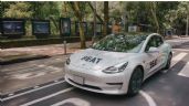 Beat pone a la venta sus Tesla Model 3 que usaba para su plataforma en México