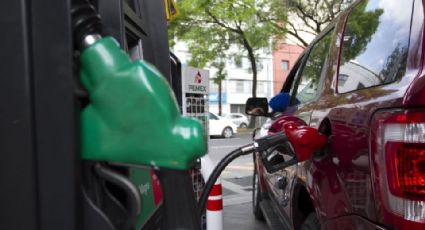 ¿Cómo reportar una gasolinera en Profeco en este 2024?