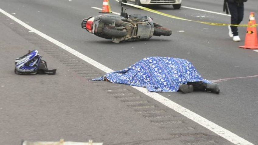 ¿Cuáles son las 10 vialidades más peligrosas de México por atropellamientos?