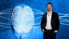 xAI, la startup de Elon Musk, ¿qué es y por qué promete desbancar a ChatGPT?