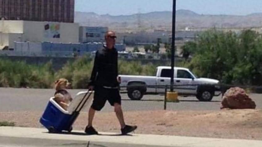 VIRAL: Hombre lleva a su perrito en un hielera para protegerlo del sol y evitar las quemaduras en sus patitas