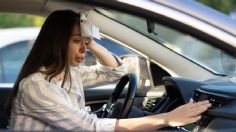 ¡Ola de calor de hasta 40 grados! Así puedes sobrevivir si pasas mucho tiempo en el auto