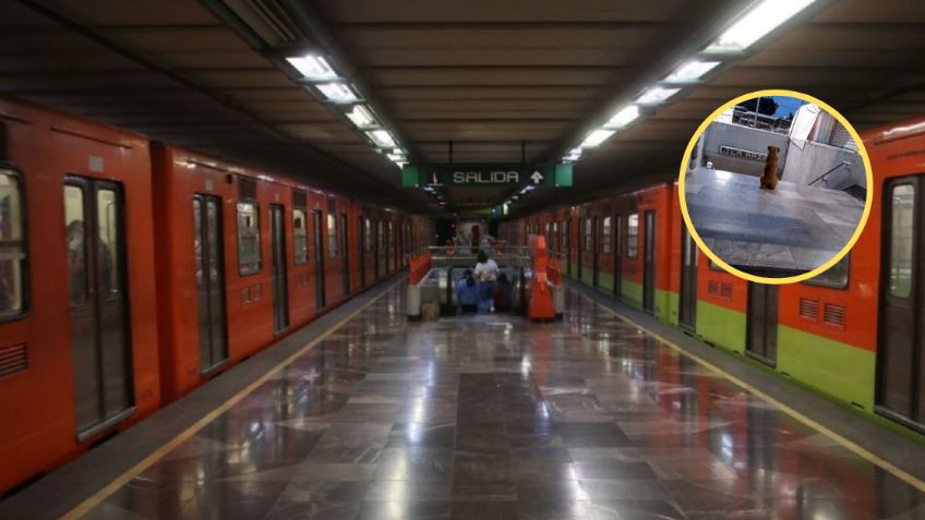 Lomito espera a su dueña todos los días afuera del Metro CDMX; no sabe que ella está muerta