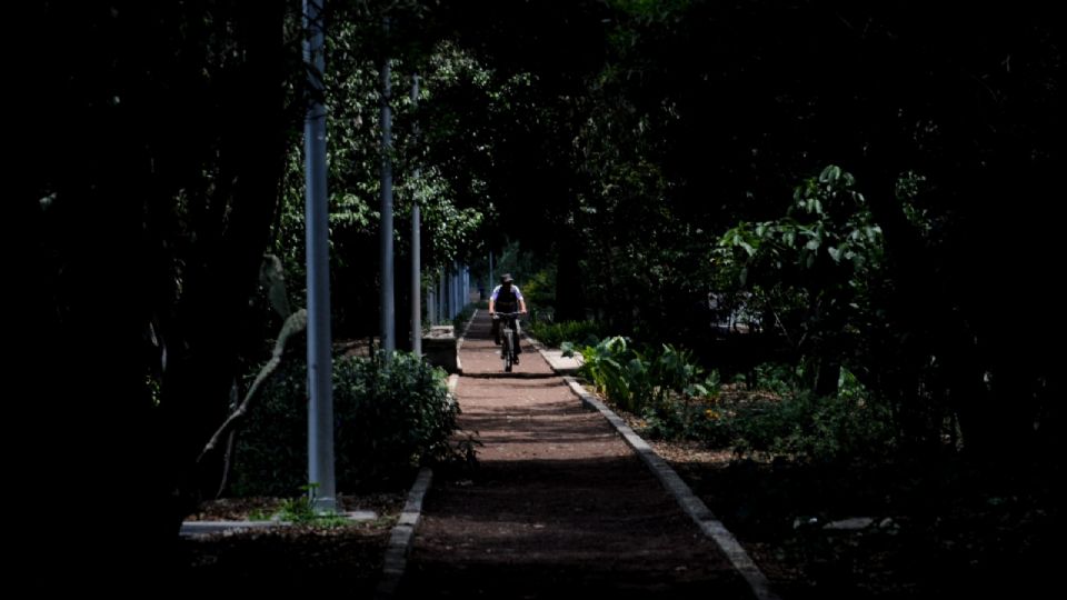 De cometer estas faltas al Reglamento de Tránsito, podrían quedarse sin bici.